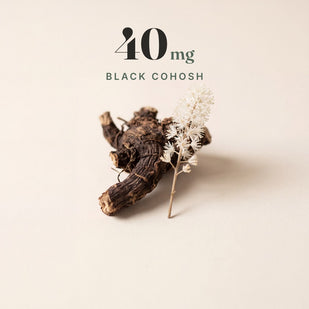 BLACK COHOSH — 40 MG