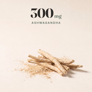 ASHWAGANDHA ROOT EXTRACT — 300 MG